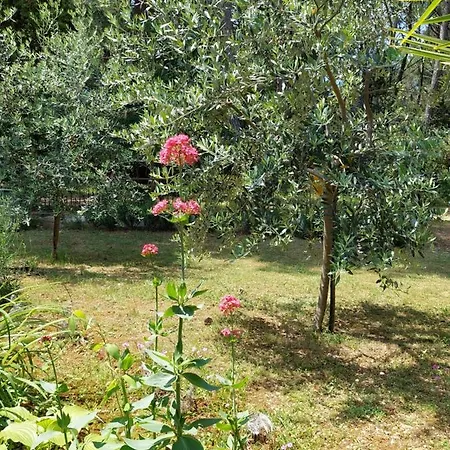Cozy-family Apartment Porec